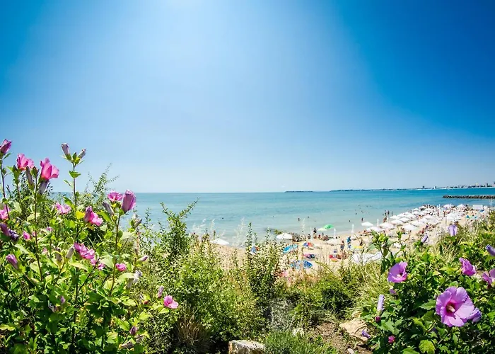 Premier סבטי ולאס